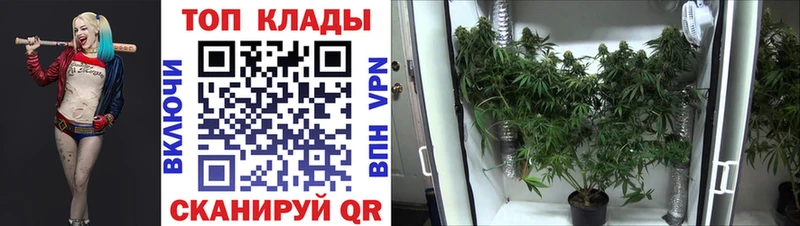 Наркошоп купить АМФЕТАМИН  Конопля  Альфа ПВП  МЕФ  ГАШ  Воткинск